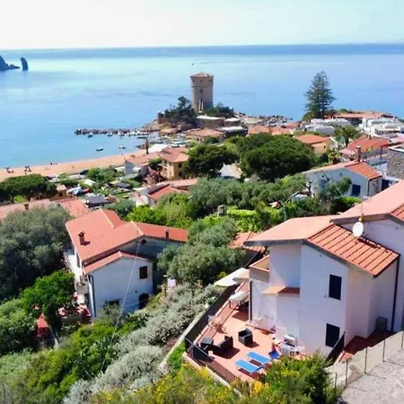 Giglio Blu 2 *